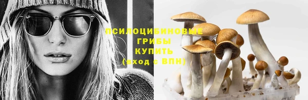 прущая мука Богородск