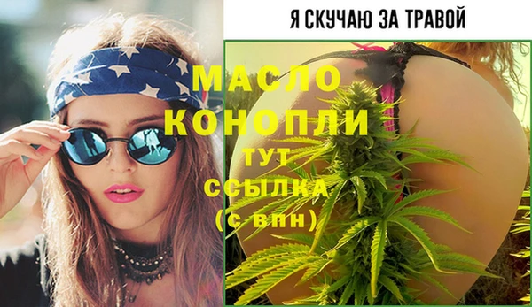 прущий лед Богданович
