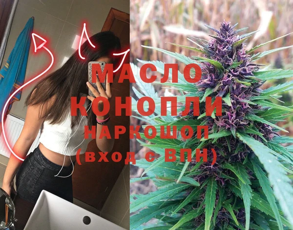 прущий лед Богданович