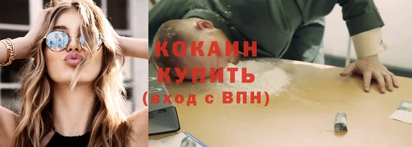 прущий лед Богданович