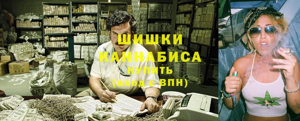гашик Богородицк