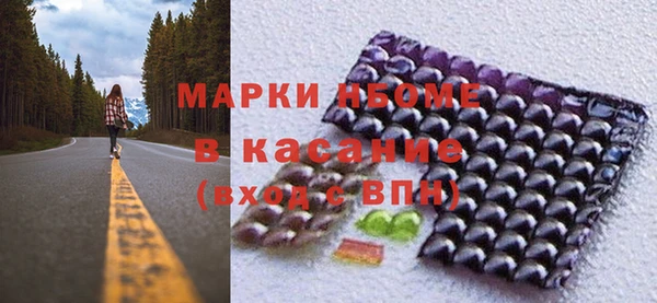 прущий лед Богданович