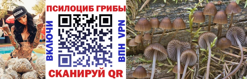 Купить где  Новозыбков  Галлюциногенные грибы мухоморы 